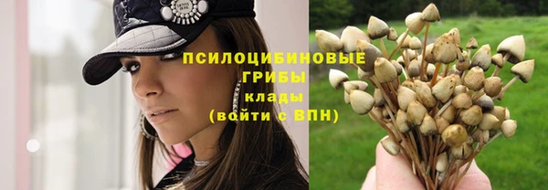 винт Красноперекопск