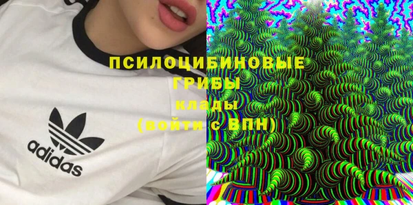 СК Краснотурьинск