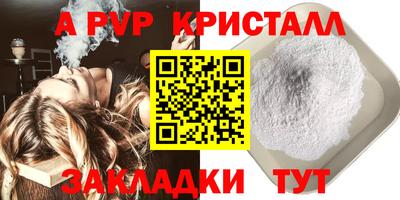 spice Гатчина