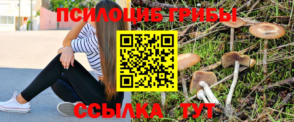 Псилоцибиновые грибы мухоморы  закладка  Благовещенск  Вход с VPN 
